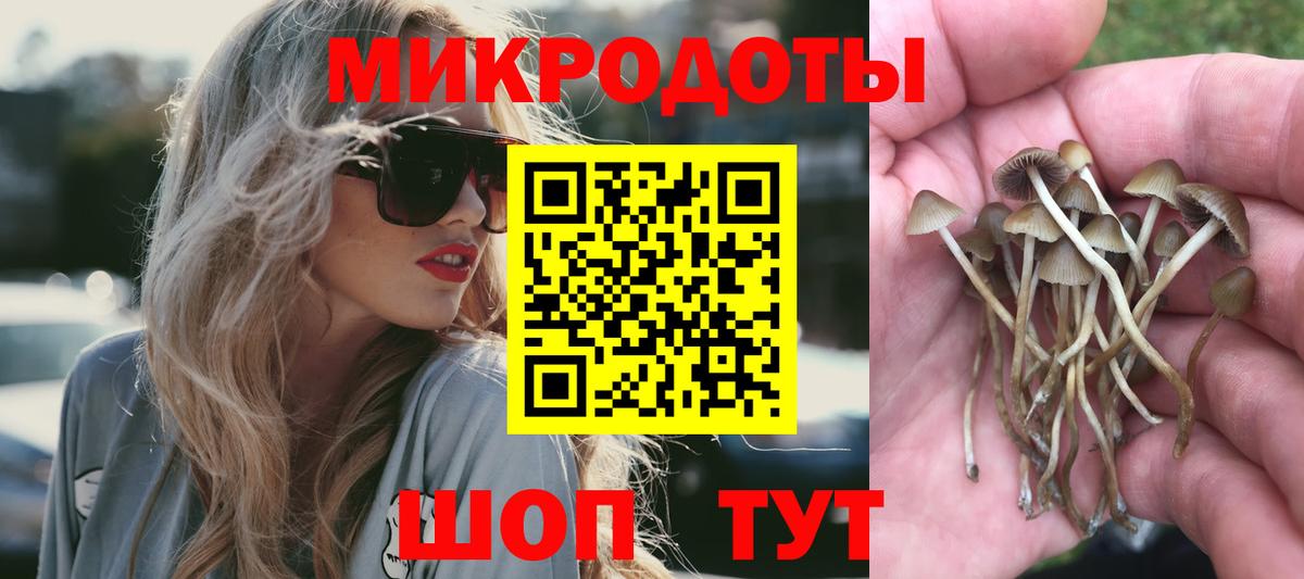 Псилоцибиновые грибы ЛСД Сарапул
