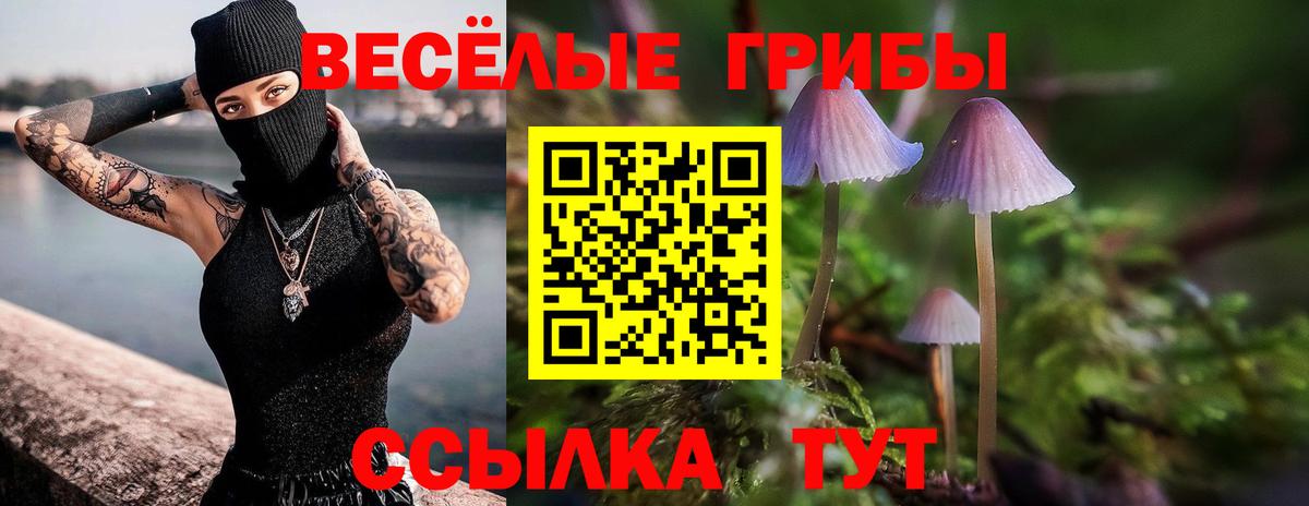 Псилоцибиновые грибы прущие грибы  Вход с VPN  Сарапул 